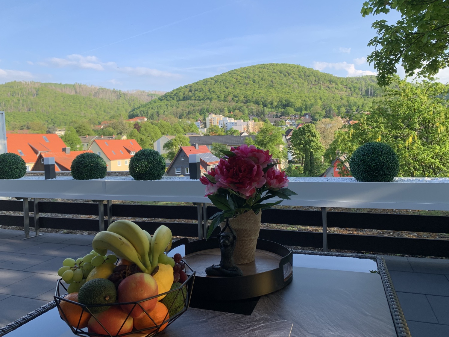 Dachterrasse Bergliebe 5 mit Erholungs-Ambiente und Blick Richtung Burgberg in Bad Harzburg