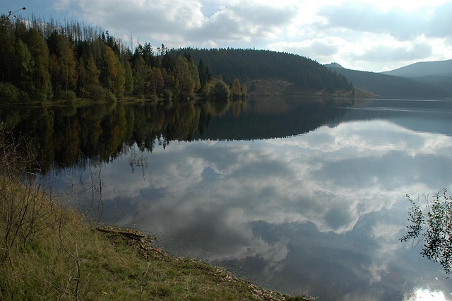 Wanderweg mit Aussicht in den Harz, geeignet für Gassirunden ab Bad Harzburg