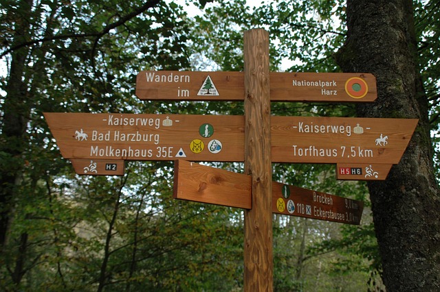 Wanderweg rund um Bad Harzburg, ideal für Gassirunden mit Hund